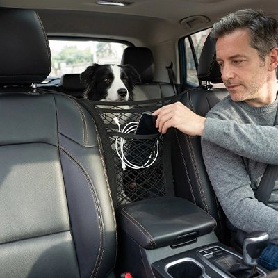 Filet chien voiture | Securité et Rangement - Rangement- Homme et Border collie