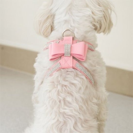 Harnais Chien | Bijou pour Toutou - Jamais sans mon chien