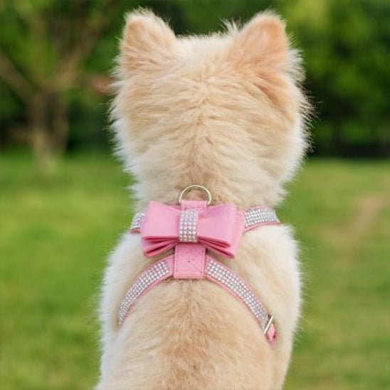 Harnais Chien | Bijou pour Toutou - Jamais sans mon chien