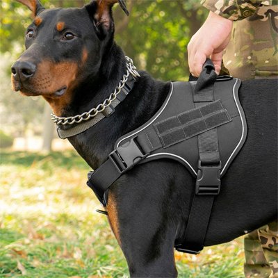 Harnais chien | Capitaine - Noir - Doberman