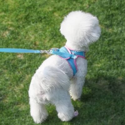 Harnais Chiot | Puppynette- Rose et Bleu- vue dorsale