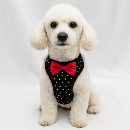 Harnais petit chien | C'est Si Doux - Jamais sans mon chien