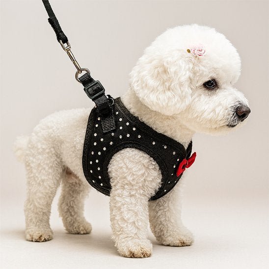 Harnais petit chien | C'est Si Doux - Jamais sans mon chien