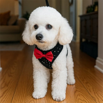 Harnais petit chien | C'est Si Doux - Jamais sans mon chien