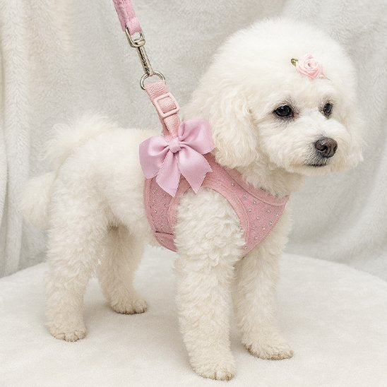 Harnais petit chien | C'est Si Doux - Jamais sans mon chien