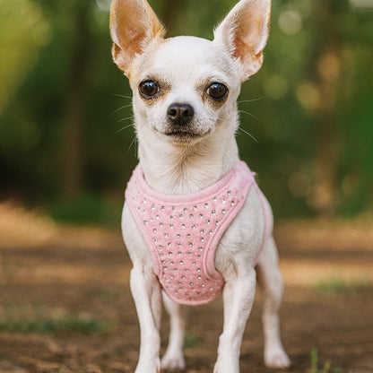 Harnais petit chien | C'est Si Doux - Jamais sans mon chien