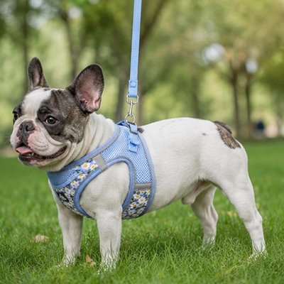 Harnais pour chien | Floralies-Bleu-Bouledogue