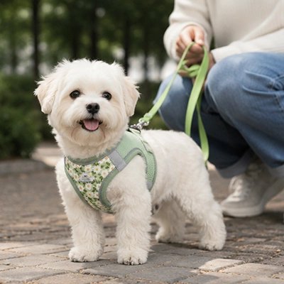 Harnais pour chien | Floralies-Vert-Bichon