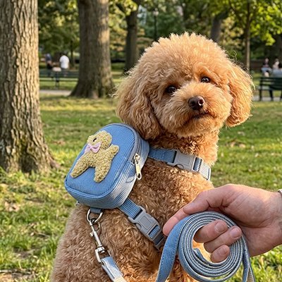 Harnais pour chien | Petite Pochette - Jamais sans mon chien
