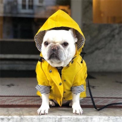 Imperméable pour chien | Popeye Le Marin - Jamais sans mon chien