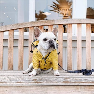 Imperméable pour chien | Popeye Le Marin - Jamais sans mon chien
