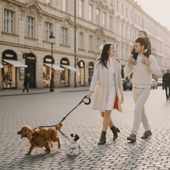 Laisse Double pour Chien | Seul ou en Couple - Jamais sans mon chien