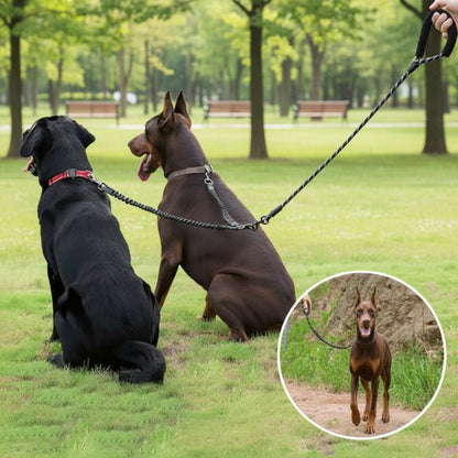 Laisse Double pour Chien | Seul ou en Couple - Jamais sans mon chien