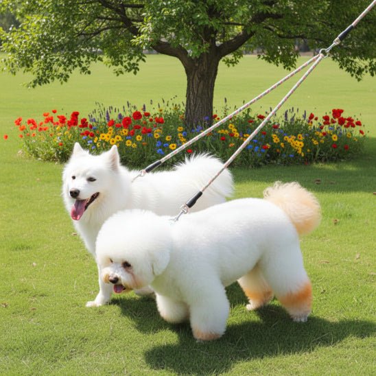 Laisse double pour chien | Twins - Jamais sans mon chien