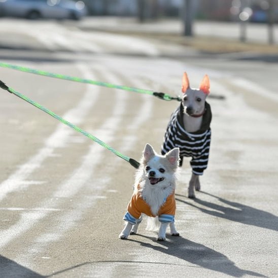 Laisse double pour chien | Twins - Jamais sans mon chien