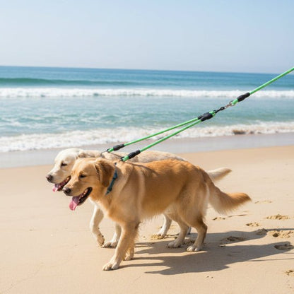 Laisse double pour chien | Twins - Jamais sans mon chien