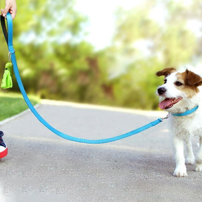 Laisse pour Chien | Bright Light - Jamais sans mon chien