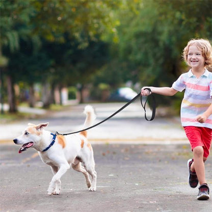 Laisse pour Chien | Bright Light - Jamais sans mon chien