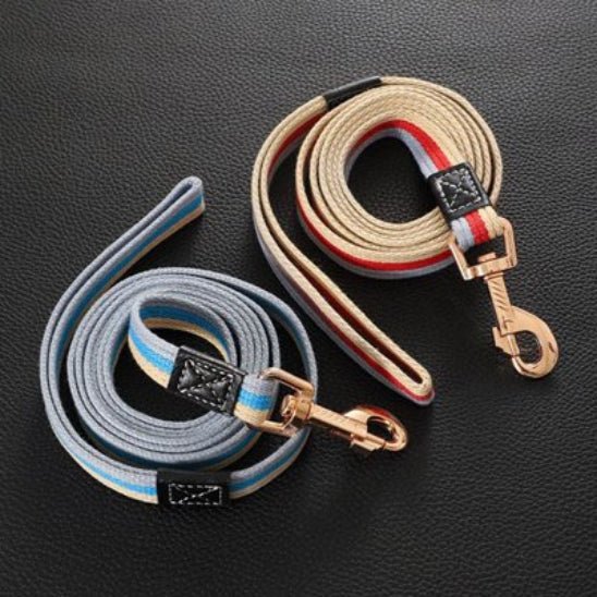 Laisse pour Chien | Ceinture de Toile - Jamais sans mon chien