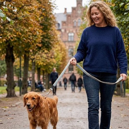 Laisse pour Chien | Ceinture de Toile - Jamais sans mon chien
