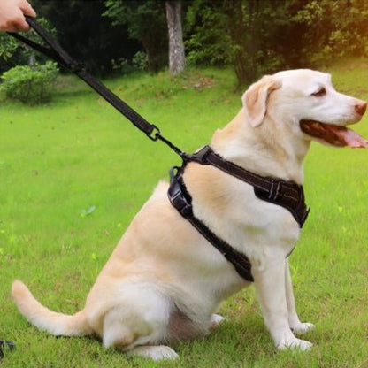 Laisse pour Chien | Côte à Côte - Jamais sans mon chien