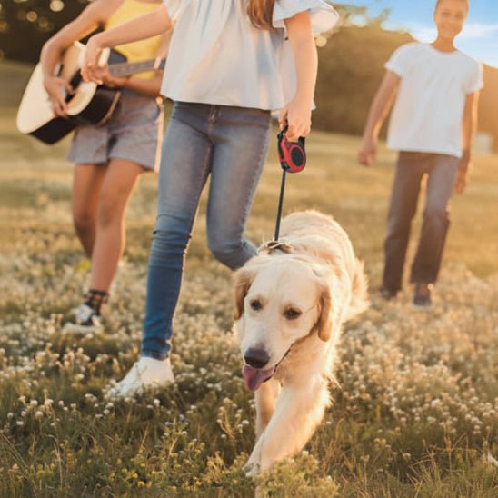 Laisse pour Chien | L'Enroulée - Jamais sans mon chien