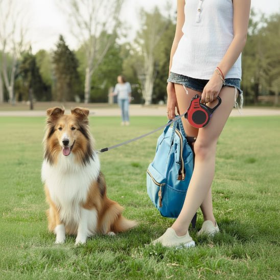 Laisse pour Chien | L'Enroulée - Jamais sans mon chien