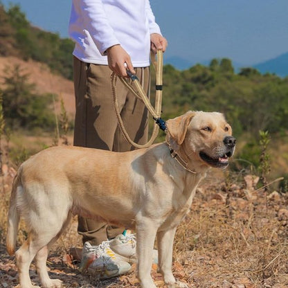 Laisse pour chien | Slinky Slinky - Jamais sans mon chien