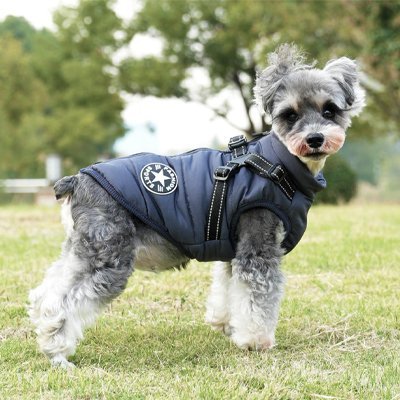 Manteau Chien | Starlight - Jamais sans mon chien