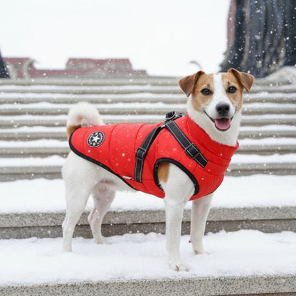 Manteau Chien | Starlight - Jamais sans mon chien