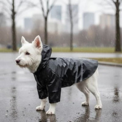 Manteau pour Chien | Fred Astaire - Jamais sans mon chien