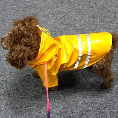 Manteau pour Chien | Le Glossy - Jamais sans mon chien