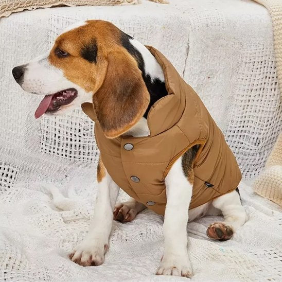Manteau pour chien | La Doudoune-Brun-Beagle2