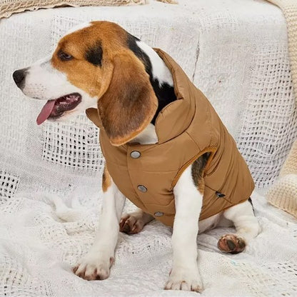 Manteau pour chien | La Doudoune-Brun-Beagle2