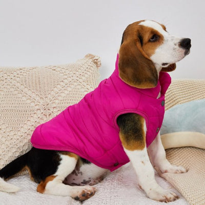 Manteau pour chien | La Doudoune-Rose-Beagle