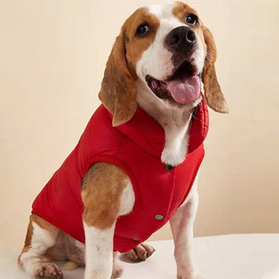 Manteau pour chien | La Doudoune-Rouge-Beagle