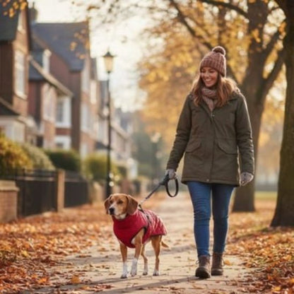 Manteau pour Chien | Le Matelassé - Jamais sans mon chien