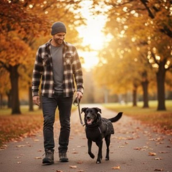 Manteau pour Chien | Le Matelassé - Jamais sans mon chien
