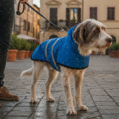 Manteau pour Chien | L'Inspecteur - Jamais sans mon chien