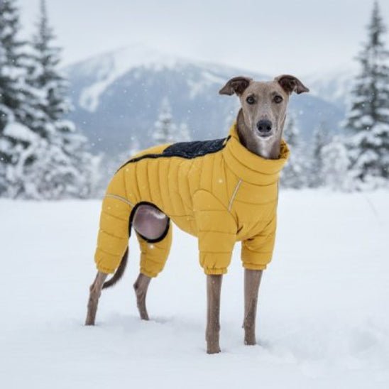 Manteau pour Chien | Puffy Coat 2 - Jamais sans mon chien