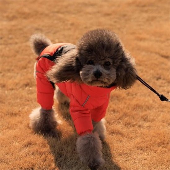 Manteau pour Chien | Puffy Coat 2 - Jamais sans mon chien