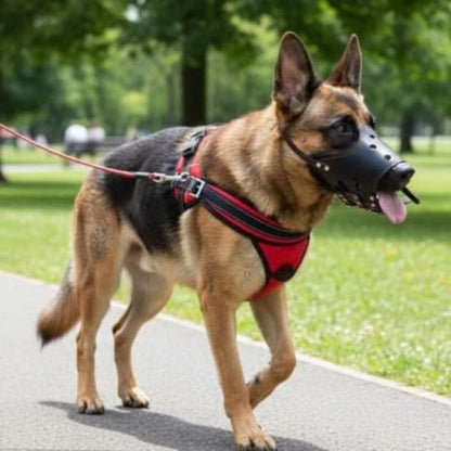 Muselière Chien | Le Nez Sécure - Jamais sans mon chien
