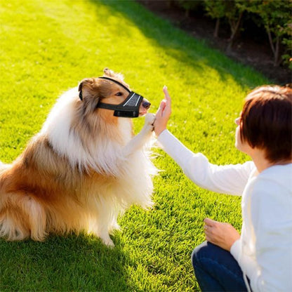 Muselière pour chien | Anti - Mastication - Jamais sans mon chien
