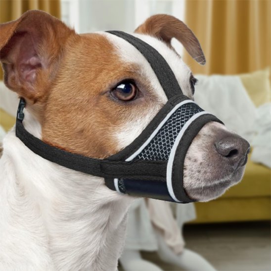 Muselière pour chien | Anti - Mastication - Jamais sans mon chien
