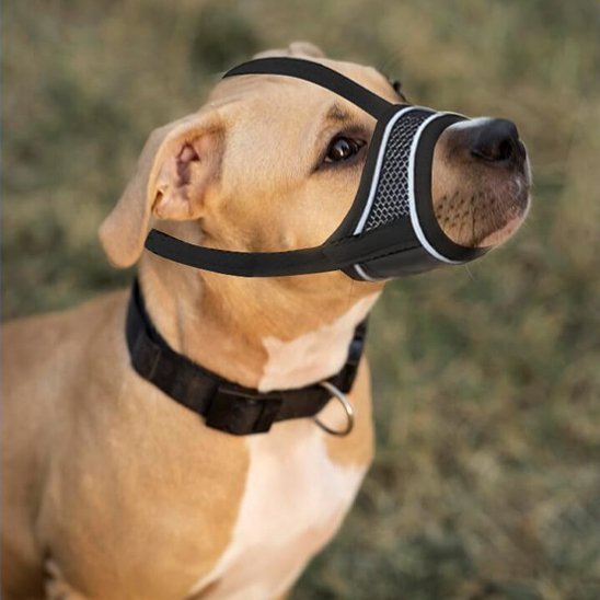 Muselière pour chien | Anti - Mastication - Jamais sans mon chien