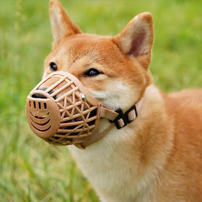 Muselière pour chien | Le Cornet- beige-Shiba