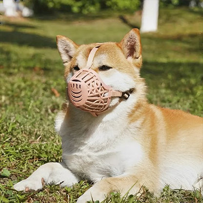 Muselière pour chien | Le Cornet- beige- Shiba