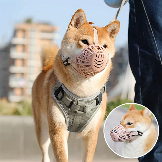 Museliere pour chien | Le Cornet