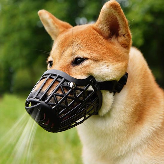 Muselière pour chien | Le Cornet- noir-Shiba