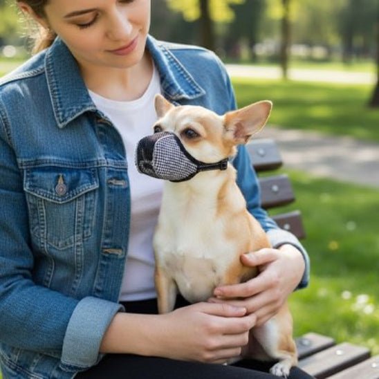 Muselière pour chien | Petites Dents - Jamais sans mon chien
